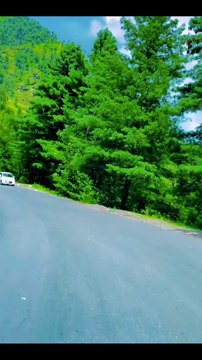 Shangla-Swat: Where Nature's Serenity Meets Timeless Traditions.