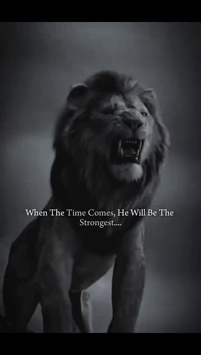 Never Underestimate #motivation #viral #trending #top #foryou #dailymotion