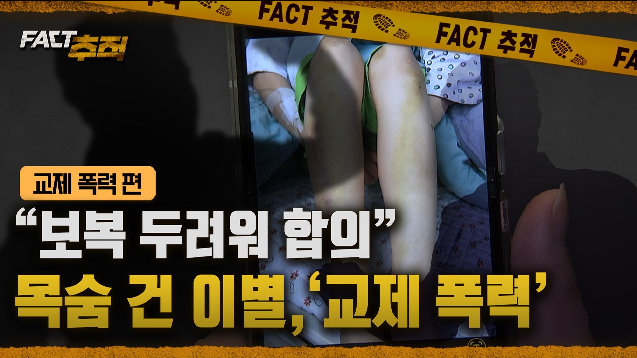 [팩트추적] "보복 두려워 합의" 목숨 건 이별, '교제 폭력' / YTN