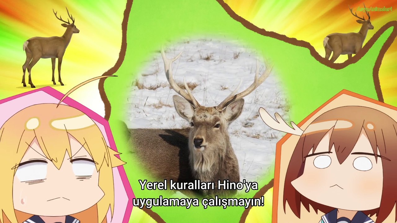 My Deer Friend Nokotan S01E11 Turkce Altyazili TT