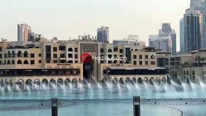 DUBAİ FISKIYESİNE TURİST AKINI