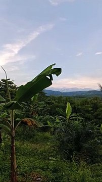 Keindahan Langit Sore Hari Di Desa