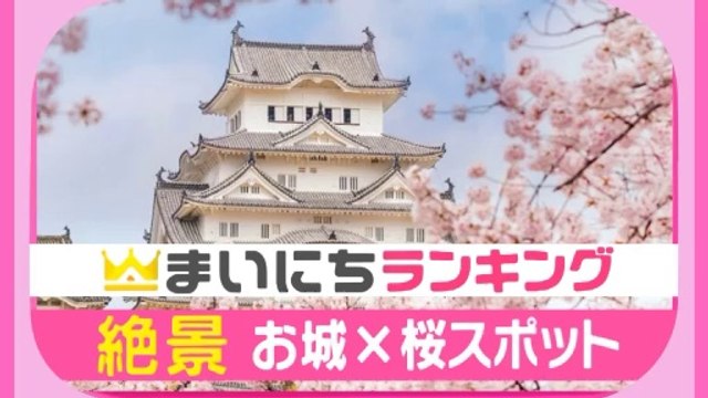 お城と桜の絶景名所 TOP5 - hanami & Japanese castles – Fioritura e castelli giapponesi