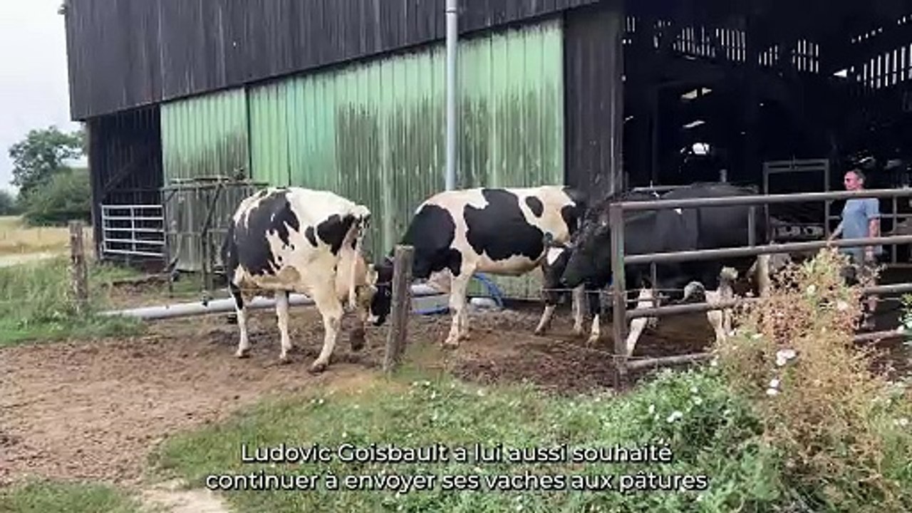 Passer du robot de traite aux pâturages grâce à une porte intelligente