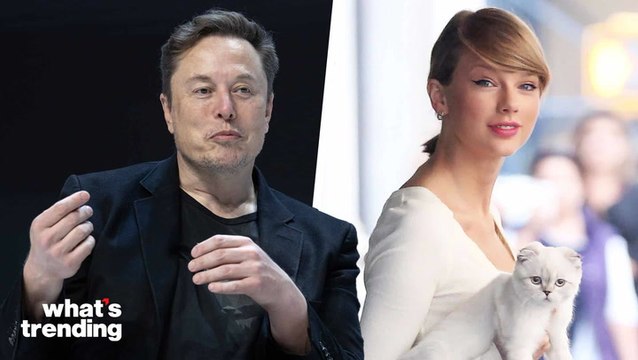 Elon Musk Responds To Taylor Swift Endorsing Harris-Walz: ‘I Will Give You a Child’