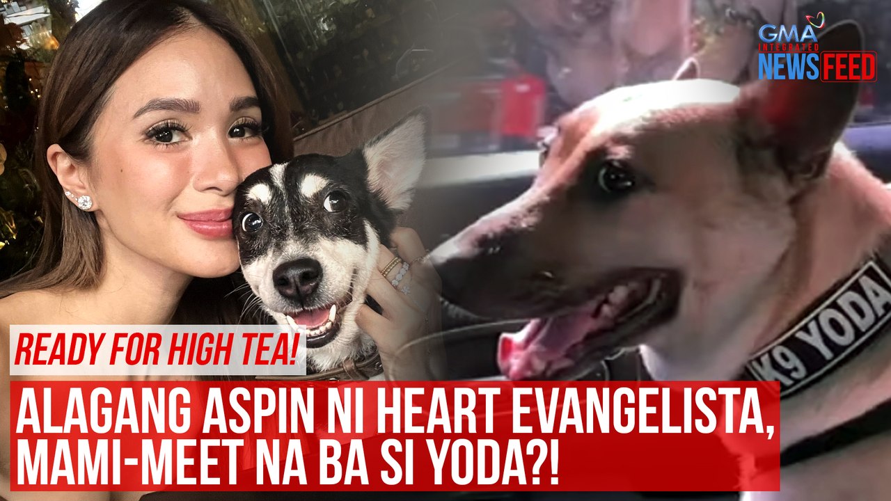 Alagang aspin ni Heart Evangelista, mami-meet na ba si Yoda?! | GMA Integrated Newsfeed