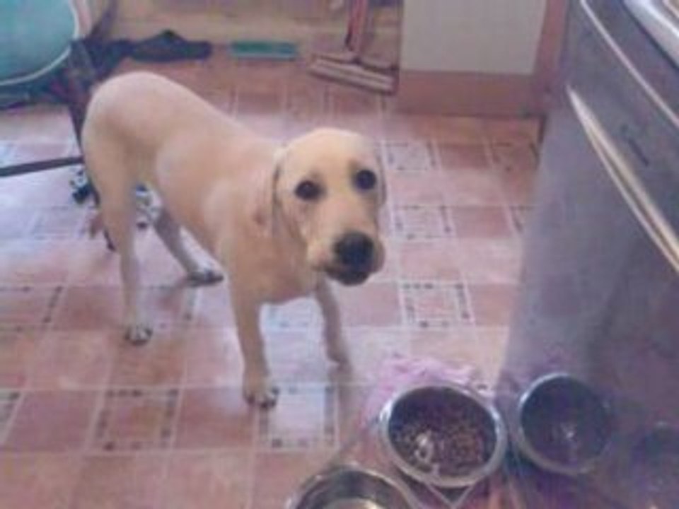 cali 20/04/2008