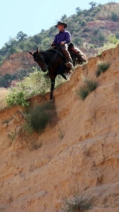 Sliding with ease. Would you ride your horse down this hill ....#horsesofinstagram #mustanghorse #cowboy #blmmustang #manfromsnowyriver #horses #fyp #foryou (performed by professionals) (do not try)