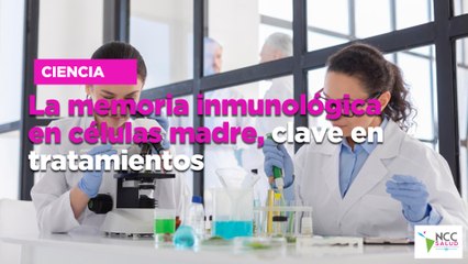 La memoria inmunológica en células madre, clave en tratamientos