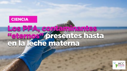 Los PFA, contaminantes “eternos” presentes hasta en la leche materna
