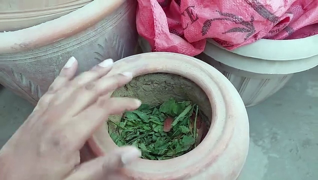 How to make pot mix for future compost ready plants