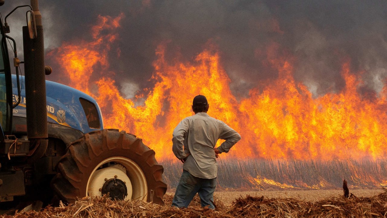 Incendios en la Amazonia