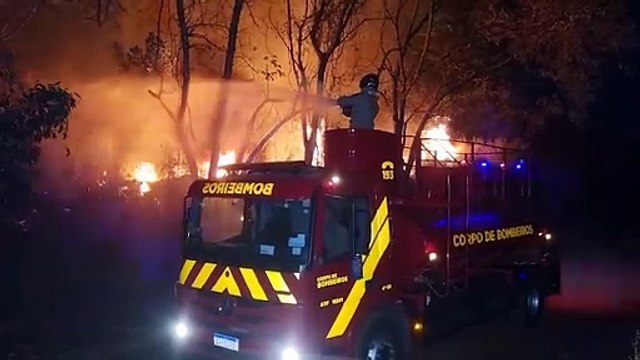 Incêndio de grandes proporções atinge área de vegetação na rodovia BR-369
