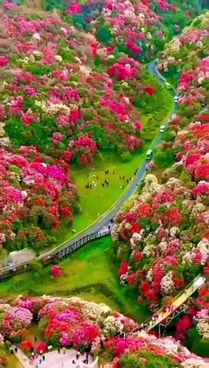 BEAUTIFUL GARDEN,,, - video Dailymotion