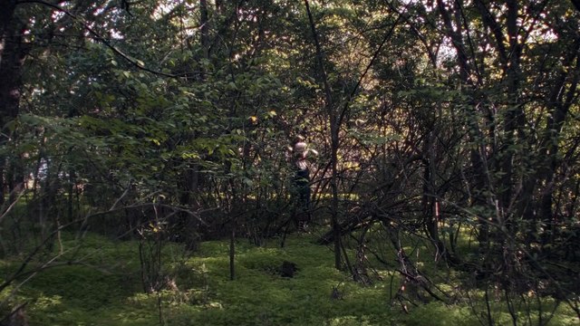 La Casa De Los Despojos | movie | 2024 | Official Trailer