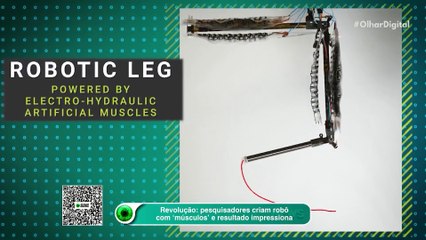 Revolução: pesquisadores criam robô com ‘músculos’ e resultado impressiona
