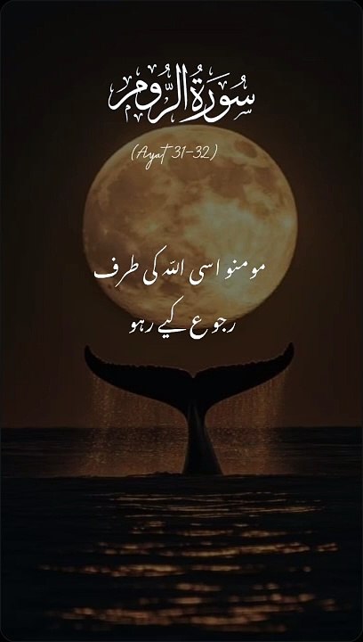 Quran || Holy Quran || Quran video || Recite