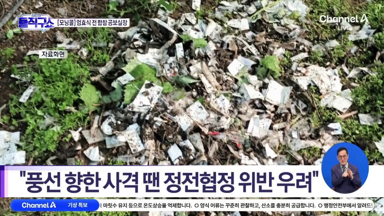 엄효식 “‘오물 풍선’ 향한 사격 땐 정전협정 위반 우려”