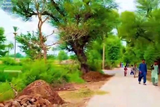 Pind Punjab dey | gaon de Zindagi | village life in Punjab very unique and beautiful life in Punjab | old culture of village