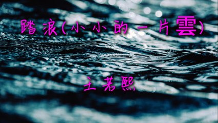 王若熙-踏浪(小小的一片雲)『山上的山花兒開呀我才到山上來原來嘛你也是上山看那山花兒開』#踏浪 #王若熙 #老歌翻唱 【動態歌詞/Lyrics Video】