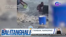 Sandamakmak na tamban, napadpad sa dalampasigan | Balitanghali