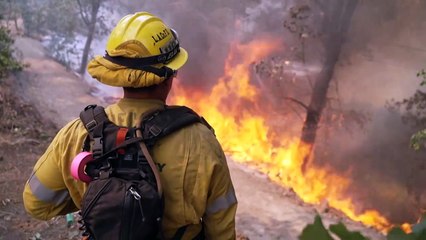 Incendios forestales arrasan con viviendas alrededor de Los Ángeles