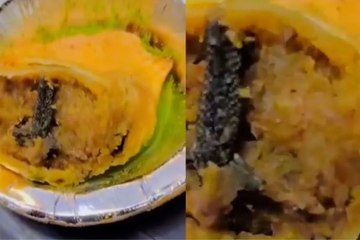 समोसे में निकली मेढ़क की टांग, नामचीन स्वीट शॉप पर हुआ हंगामा, वीडियो वायरल