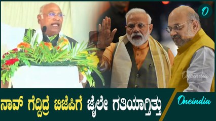 20 ಸೀಟ್ ನಮಗೆ ಜಾಸ್ತಿ ಬಂದಿದ್ದಿದ್ರೆ BJPಯವರು ಜೈಲಿನಲ್ಲಿ ಇರಬೇಕಾಗಿತ್ತು ಎಂದ Mallikarjun Kharge