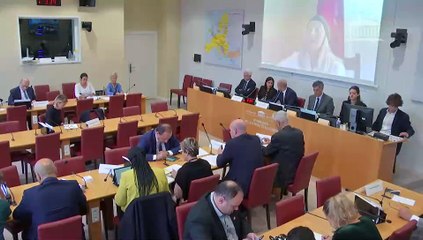 Commission des affaires étrangères : Examen de l’avis sur le projet de COM entre l’Etat et Expertise France pour la période 2024-2026 - Mercredi 11 septembre 2024