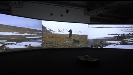 Poesia delle immagini in movimento, Ismailova in HangarBicocca