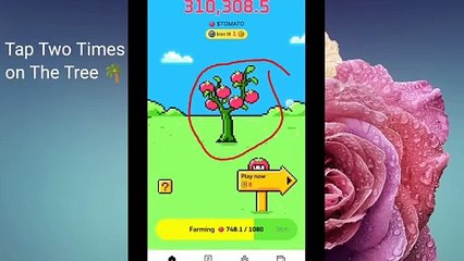 Tomarket Airdrop Combo 3 September _ Tomarket Daily Mystery Code Today _ Tomarket Snapshot_