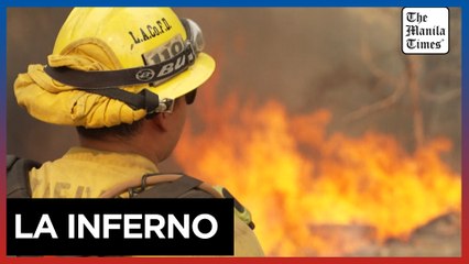 Firefighters battle wildfire near Los Angeles