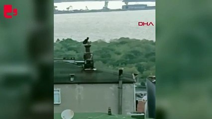 Samsun’da cezaevi firarisi, çatıda yakalandı