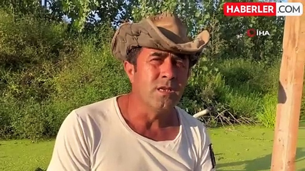 Acarlar Longozu'nun saklı kalmış bölgesi yeniden hayat buldu