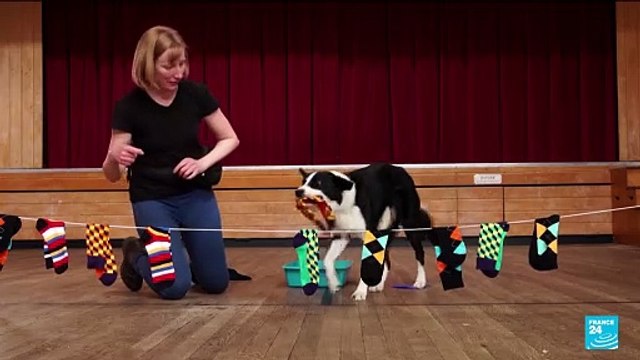 Blindfolded skipping and wheelchair pull-ups: Guinness World Records 2025 edition released