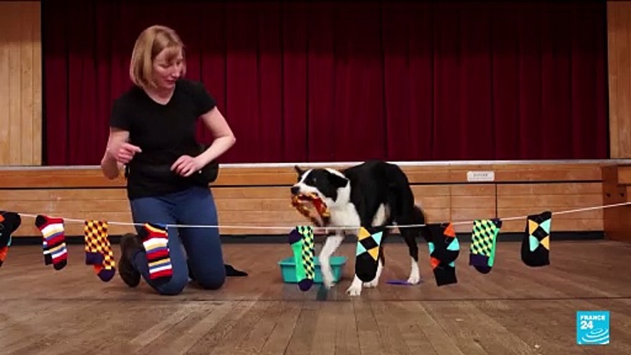 Blindfolded skipping and wheelchair pull-ups: Guinness World Records 2025 edition released