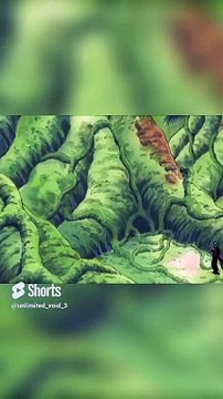 Luffy Zoro Funny Directions #luffy #zoro #funny #onepiece