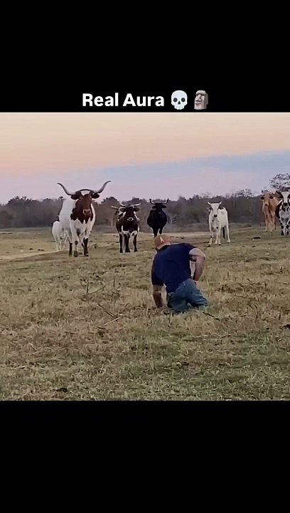 Follow For More Videos  • • • The Tesla Cybertruck is an all-electric, battery-powered light-duty truck unveiled by Tesla, Inc.  Here’s a comprehensive overview of its key features and specifications-  Tesla Cybertru_2