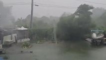Hurricane Francine: Strong winds and heavy rainfall batter Houma in Louisiana