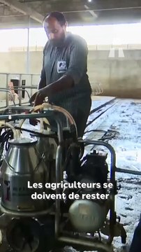 Comment la Technologie Améliore l’Élevage Laitier en Éthiopie ?