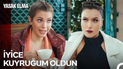 Yanlış Yoldayız Ama Yol Nasıl Güzel - Yasak Elma