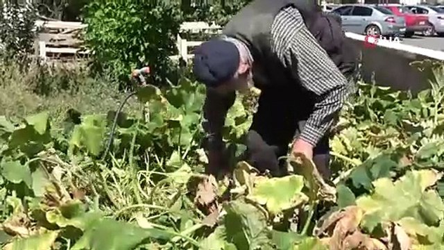 Yaptıklarını duyunca çok şaşıracaksınız: Karşınızda 98'lik delikanlı!