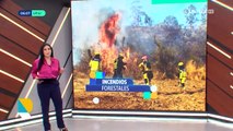 Voraz incendio forestal en Pocona, equipos de rescate continúan desplazándose para intentar controlar el fuego