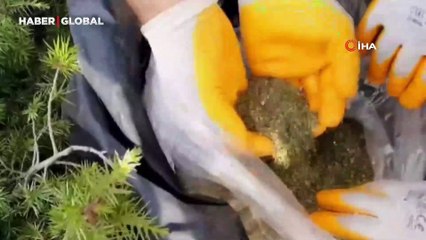 Diyarbakır'da narko-terör operasyonu: 36 gözaltı