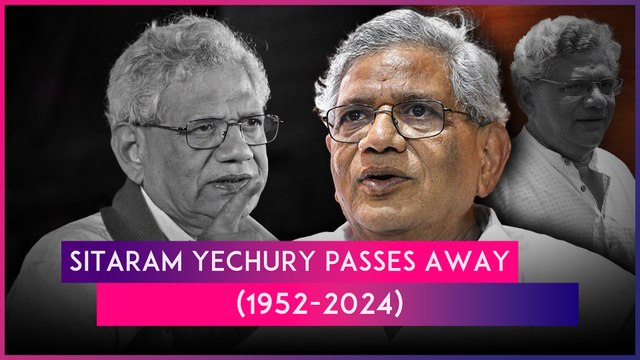 Sitaram Yechury Passes Away, Rahul Gandhi & Other Leader Mourn Demise Of CPI(M) Veteran
