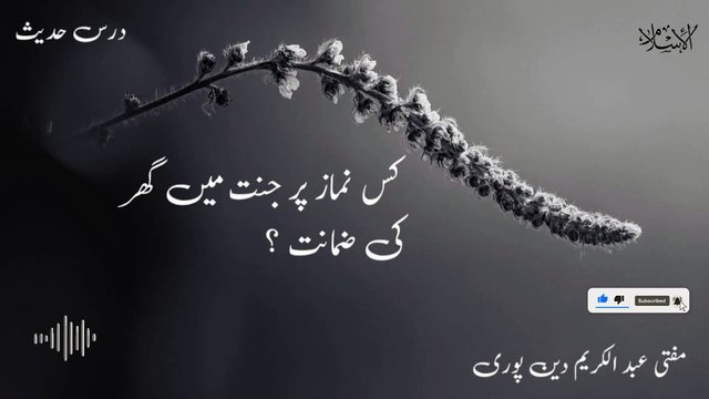 Kis Namaz Par Jannat Ki Zamanat ? | Mufti Abdul Karim Den Puri | 12-09-2024