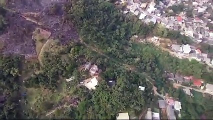 Mata atingida por incêndio em Florianópolis equivale a quase 5 campos de futebol
