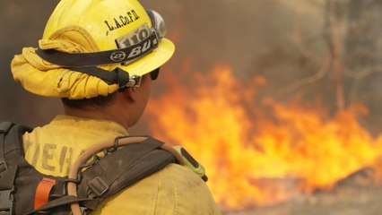 Waldbrände: Ausnahmezustand in Kalifornien