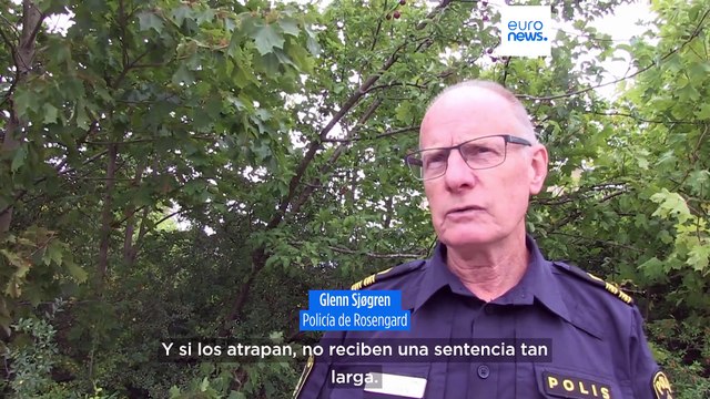 La Policía de Suecia y la de Dinamarca unen fuerzas para combatir la violencia de las bandas