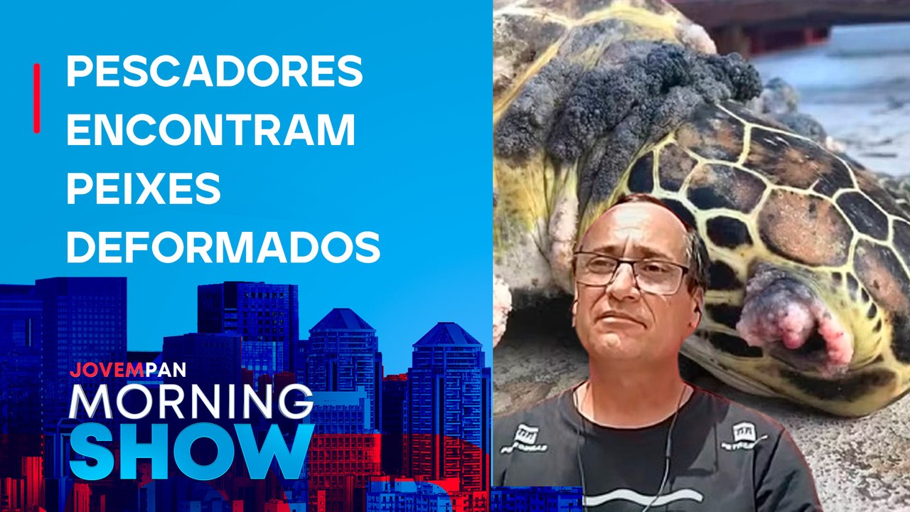 LAMA de Mariana está AFETANDO ANIMAIS de rios e mares? Diretor do Projeto Baleia Jubarte EXPLICA